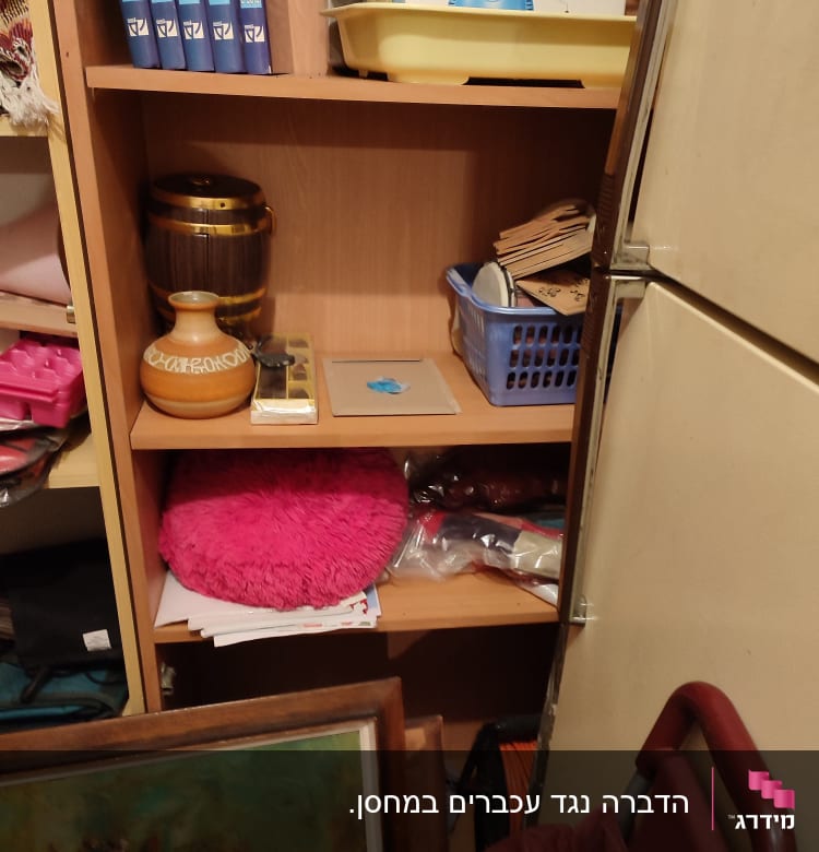 shelf with various household items, no visible exterminator tools